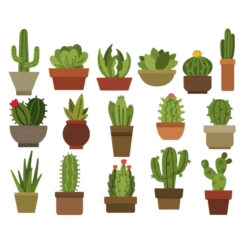 16 motif de broderie machine : Cactus et Plantes Grasses Succulentes