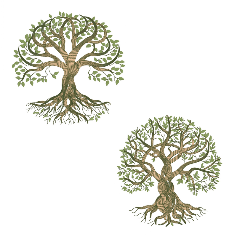2 motifs de broderie machine : Arbres de vie