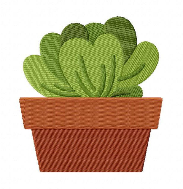 16 motif de broderie machine : Cactus et Plantes Grasses Succulentes