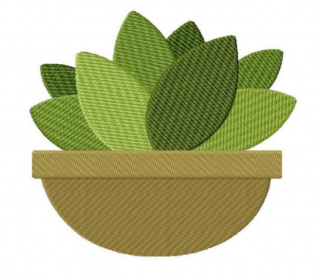 16 motif de broderie machine : Cactus et Plantes Grasses Succulentes