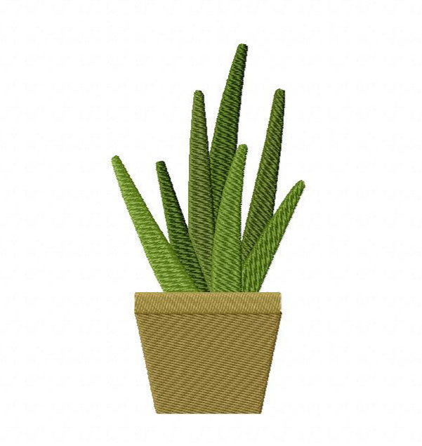 16 motif de broderie machine : Cactus et Plantes Grasses Succulentes