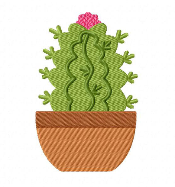16 motif de broderie machine : Cactus et Plantes Grasses Succulentes